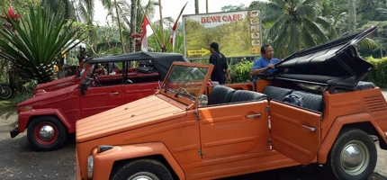 volkswagen safari tour auf Bali