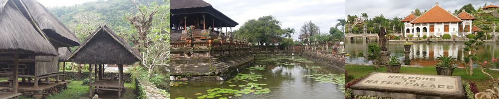 ost bali urdorf gemeinschaft tenganan und furstensturm