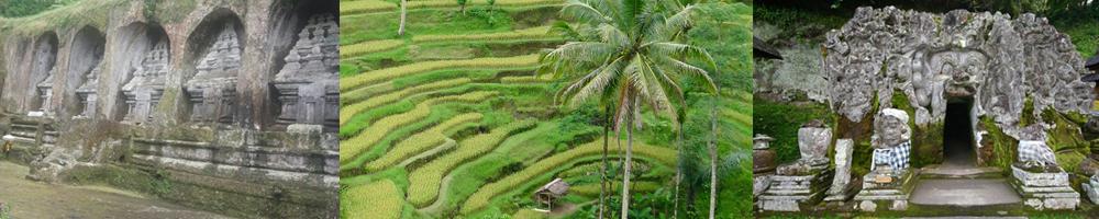 tegalalang reisterassen und weltkultur central bali