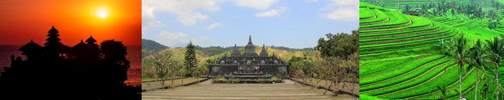 sonnenaufgang delfinbeobachtung tour