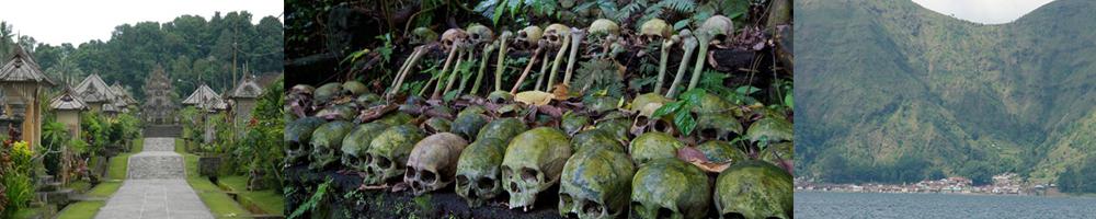 ursprunglich trunyan und penglipuran bali tour