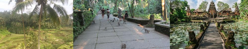 4 stunde wanderung auf ubud