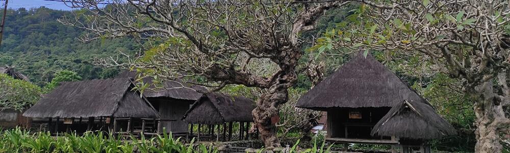 aga bali tur tour pakete nachte 6 tage retreat in desa tua dorf