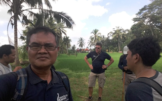 reisfelder wanderung auf ubud 941