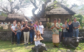 tenganan bali rundreise 518