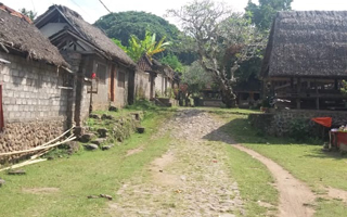 tenganan dorf bali rundreise 415