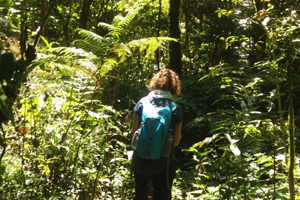 tour wanderung regenwald bali 907